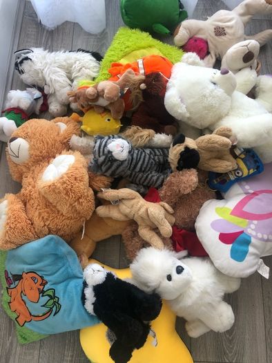 Teddy,soft toys