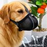 dog muzzle Image 6