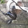 Giant Defy 3 XL Image 5
