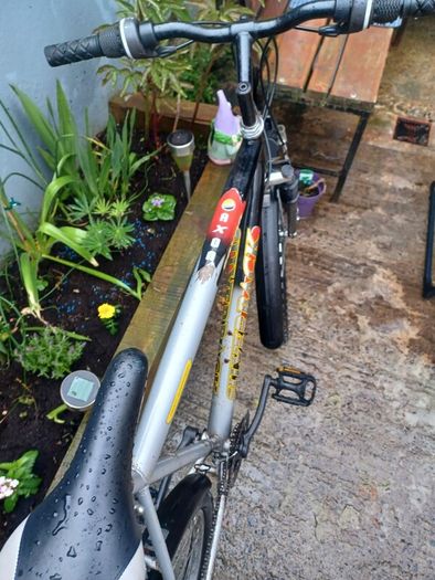 Saxon Mens bike