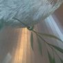 Vintage Large Dove Of Peace Mirror Image 9