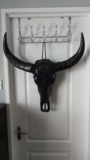 Glass Insert Black Buffalo Skull