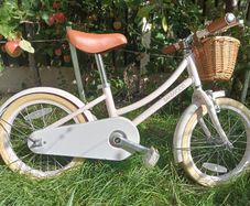 Girl bike 16 inch wheels