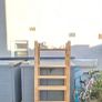 Shelves shed Image 3