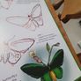 How to Draw Australian Wildlife In Very Good Condition From Pet Smoke Free Home Lots Of Books Listed For 1 2 3 Euro Image 3