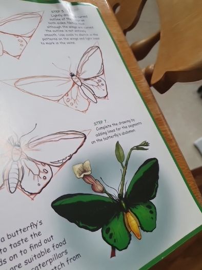 How to Draw Australian Wildlife In Very Good Condition From Pet Smoke Free Home Lots Of Books Listed For 1 2 3 Euro
