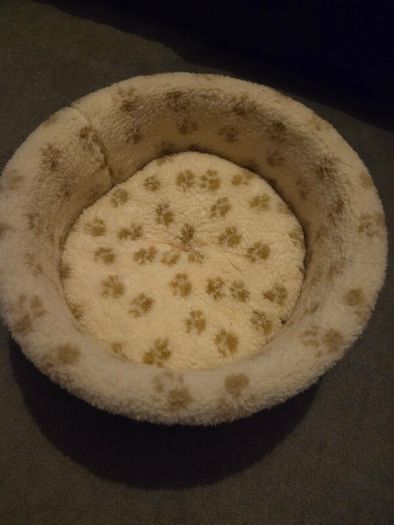 cat bed