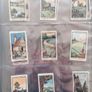 40 Jack B. Yeats Designed Cigarette Cards 'Irish Place Names' Image 7