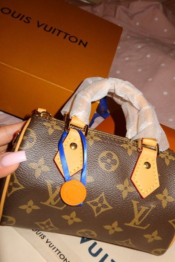 Louis Vuitton Speedy Bag
