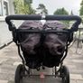 OutnAbout double buggy Image 3