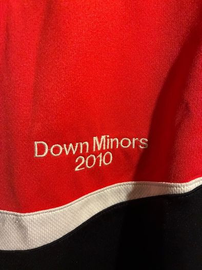 Down GAA polo S