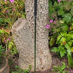 Mizuno Pro 245 7 iron Golf Club demo upright