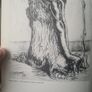 Trees For Town And Country By Peter Bridgeman. With A Frontispice By Henry Moore. Rare Vintage First Edition. Large Volume Hardback With Dustjacket In In Good Condition. Image 8