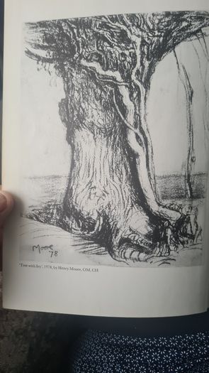 Trees For Town And Country By Peter Bridgeman. With A Frontispice By Henry Moore. Rare Vintage First Edition. Large Volume Hardback With Dustjacket In In Good Condition.