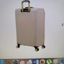 Large Suitcase Image 4