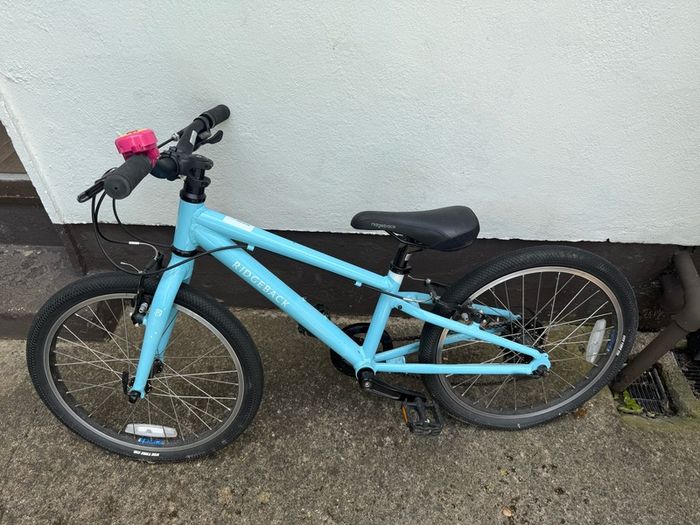 Ridgeback MX20