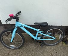 Ridgeback MX20