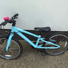 Ridgeback MX20
