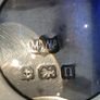 silver pepper Image 5