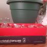 Cristal D'Arques glasses Image 2