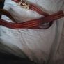 belt Image 3