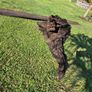 Ancient Bog Oak from Co.Kildare Bog Image 3