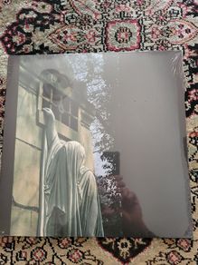 Dead Can Dance: within the realm of a dying sun LP