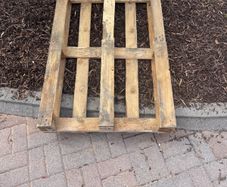 wooden pallet free