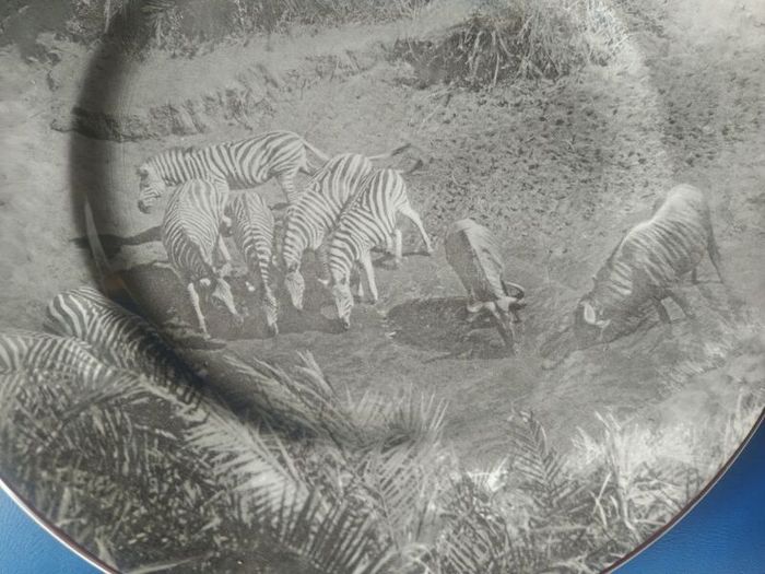 Royal Doulton African Series plate