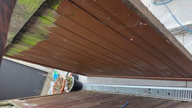 wooden fence and door