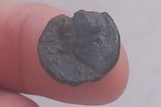 Macedonian Coin