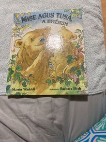 Irish language children's book