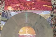 Stornoway: Dig The Mountain LP