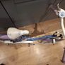 Kids Frozen bike Image 2