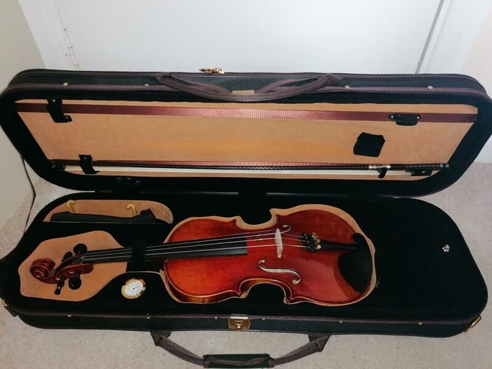 MC Neela Advanced Violin set