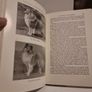 The Shetland Sheep dog. Image 8