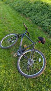 Mountain Bike - L frame (20")