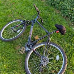 Mountain Bike - L frame (20")