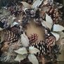 Christmas tree Image 10