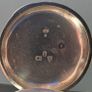 Thos. Russell & Son,Liverpool - Fusee Lever Image 4