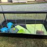 Large pet cage Image 2