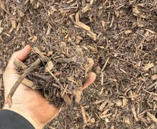Bark mulch