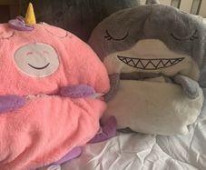 Kids sleeping bags