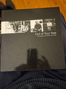 Out Of Your Tree. Photography Ny Dominic Lee. First Edition Hardback In Good Condition.  See Photos For Same