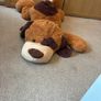 large soft dog Image 4