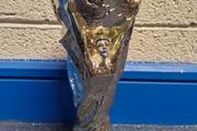 FIFA World Cup Trophy