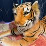 Tiger Plush Toy Image 2