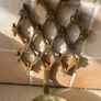 Vintage Solid brass sconce Wall Mount Pillar Candle holder Image 8
