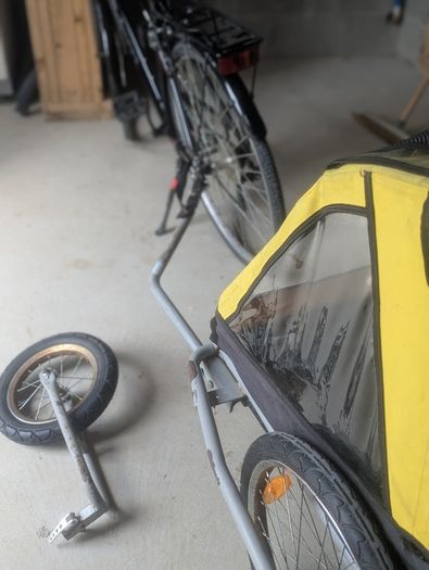 Children's Double Bike Trailer