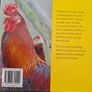 Choosing and keeping Chickens...book Image 2